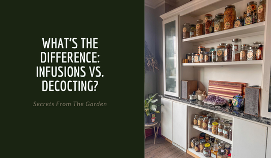 What's The Difference: Infusions VS. Decocting?