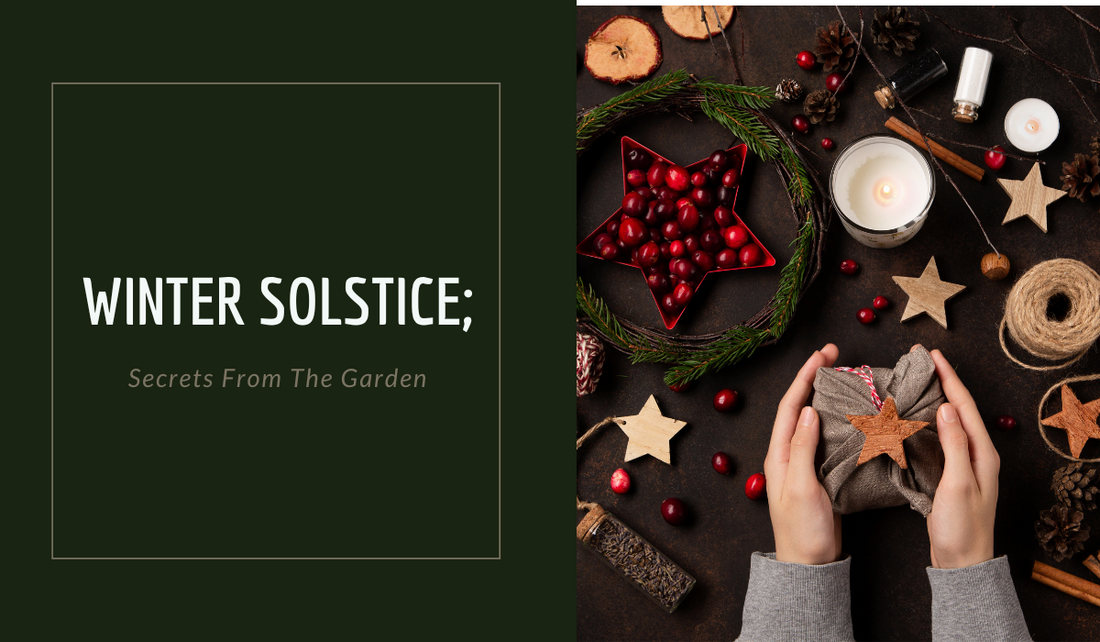 WINTER SOLSTICE