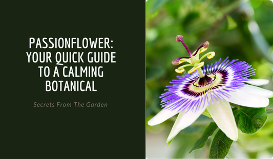 Passionflower: Your Quick Guide to a Calming Botanical