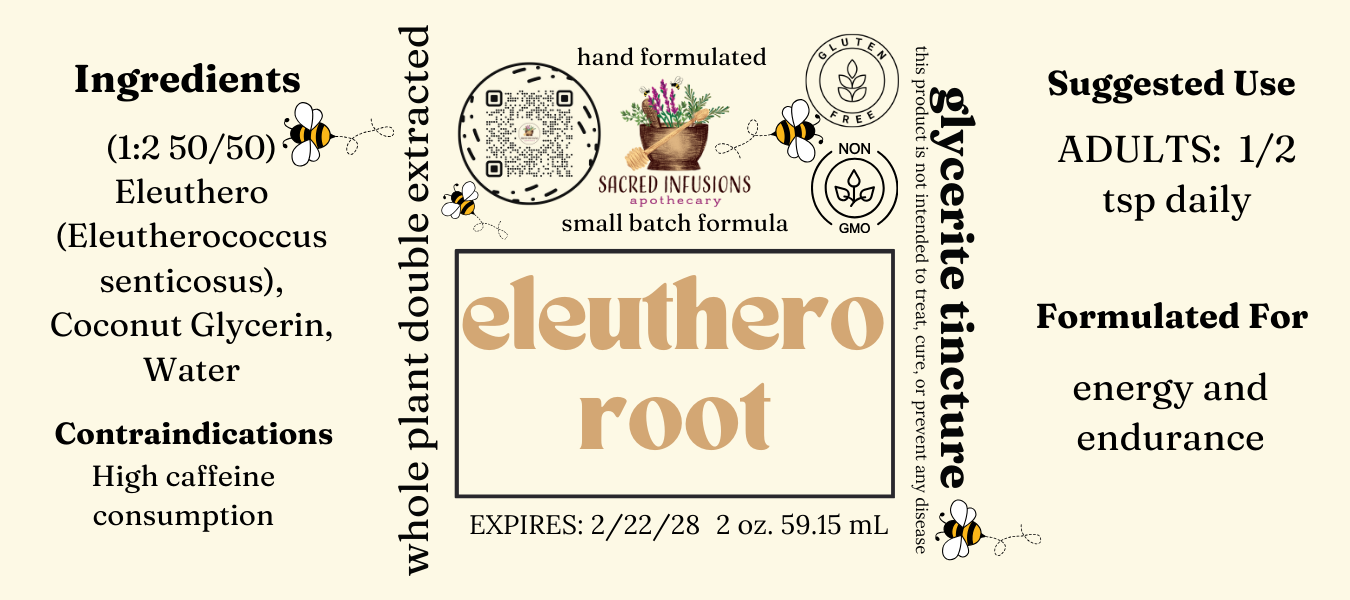 Eleuthero Tincture (Traditional) - Sacred Infusions Apothecary