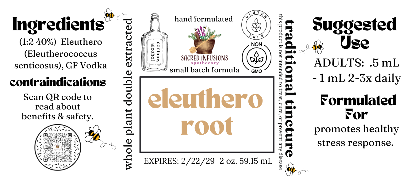 Eleuthero Tincture (Traditional) - Sacred Infusions Apothecary