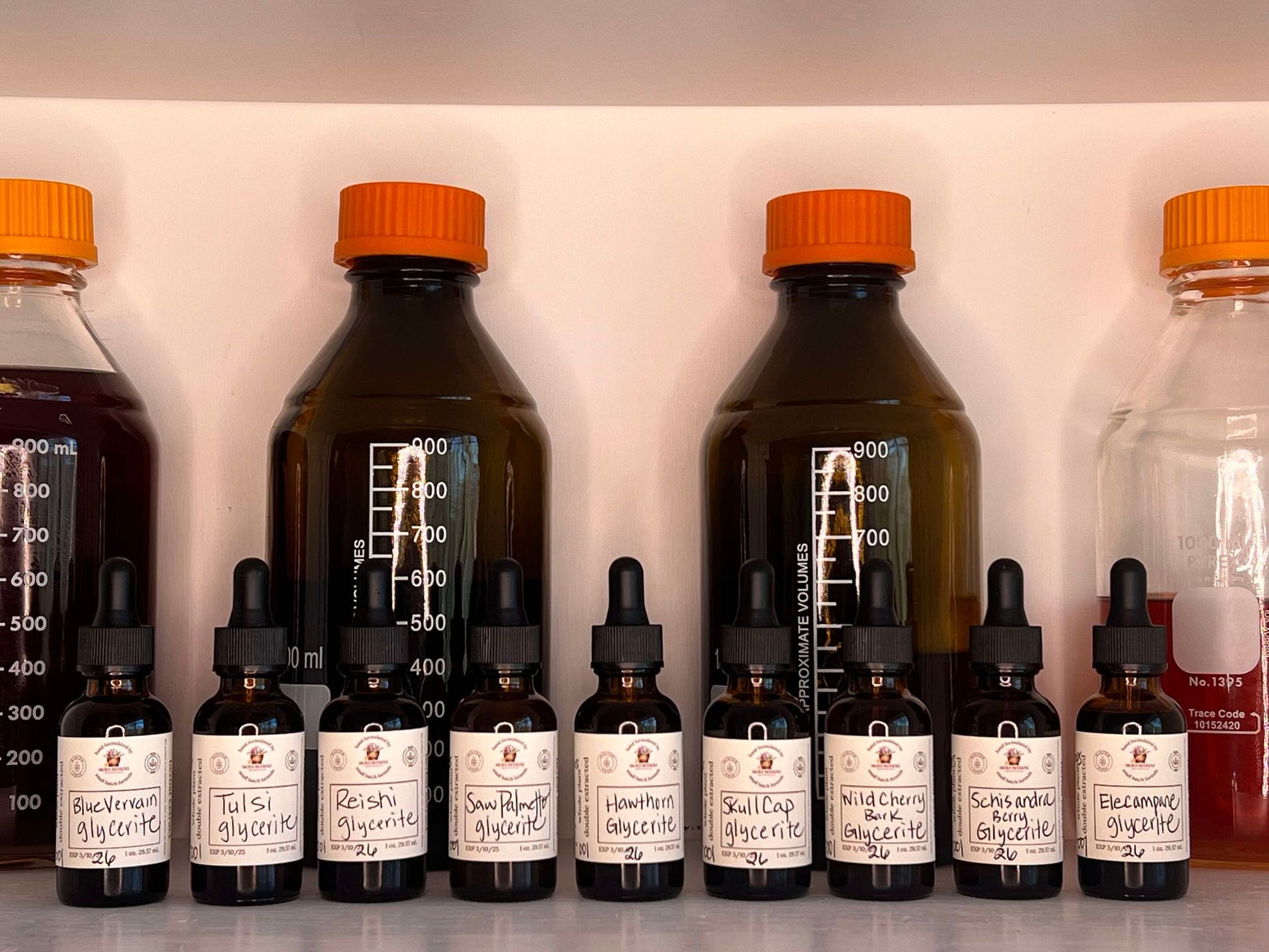 Elecampane Glycerite - Sacred Infusions Apothecary
