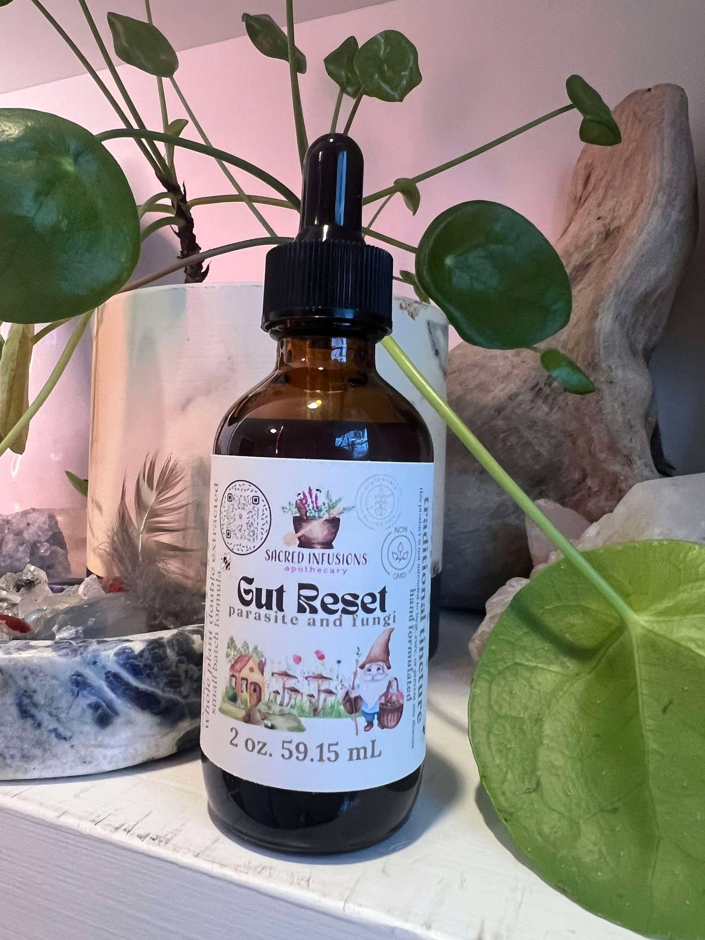 Gut Reset Fungus and Parasite Cleanse