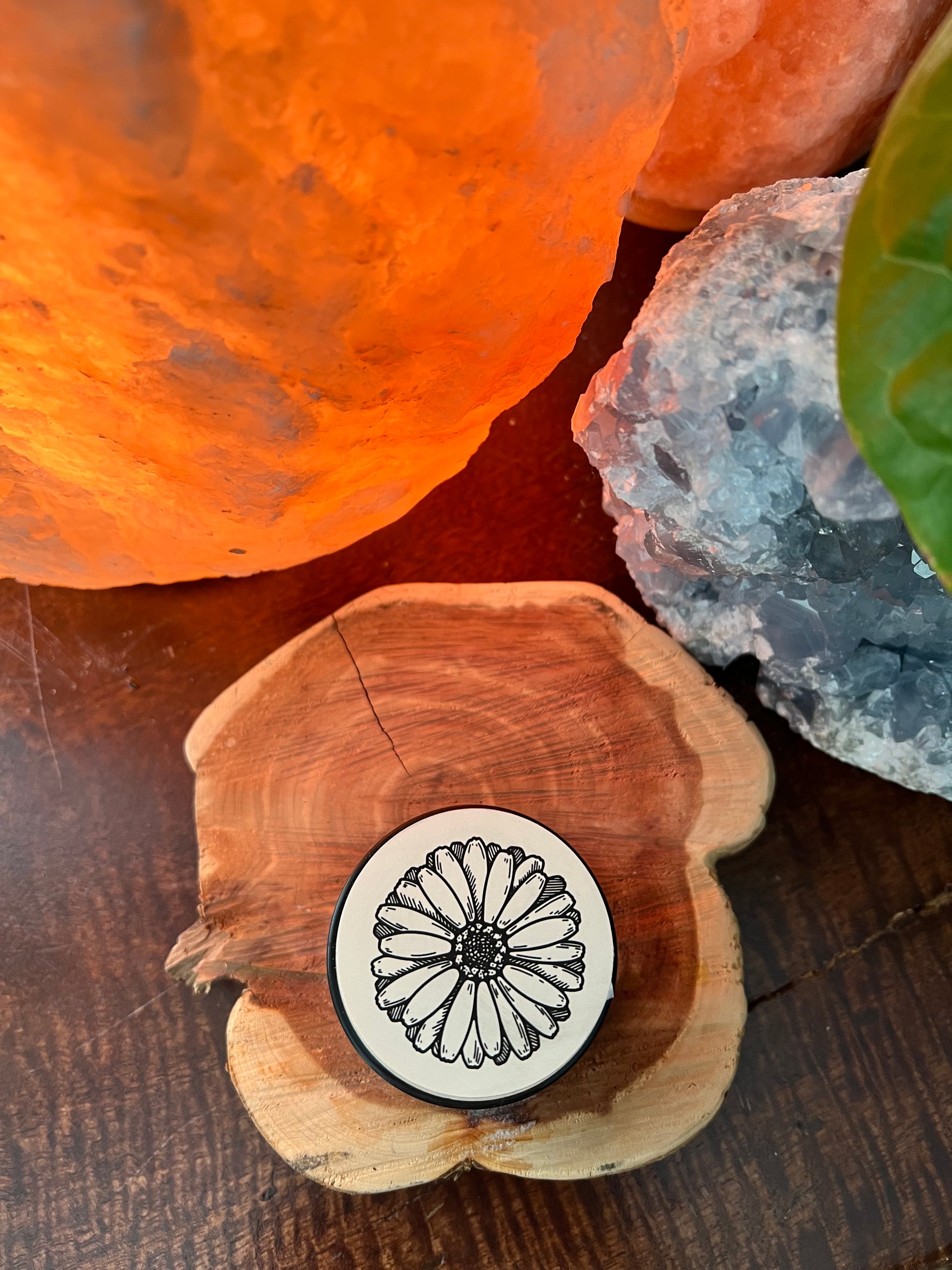 Drawing Salve - Sacred Infusions Apothecary