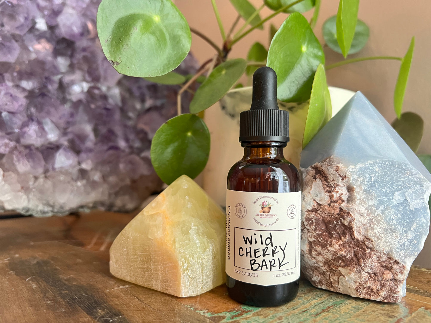 Wild Cherry Bark Tincture - Sacred Infusions Apothecary