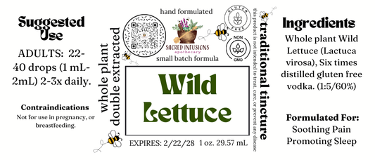Wild Lettuce Tincture (Traditional) - Sacred Infusions Apothecary