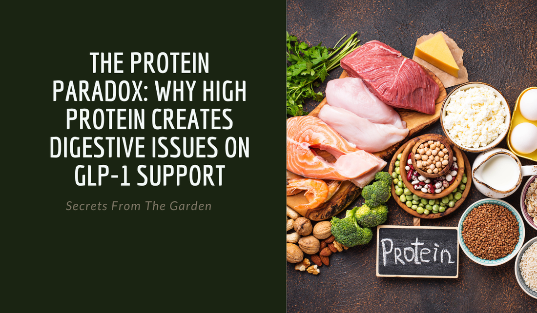 The Protein Paradox: Why High Protein Creates Digestive Issues on GLP-1 Support