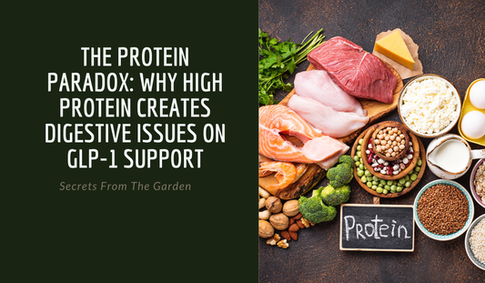 The Protein Paradox: Why High Protein Creates Digestive Issues on GLP-1 Support