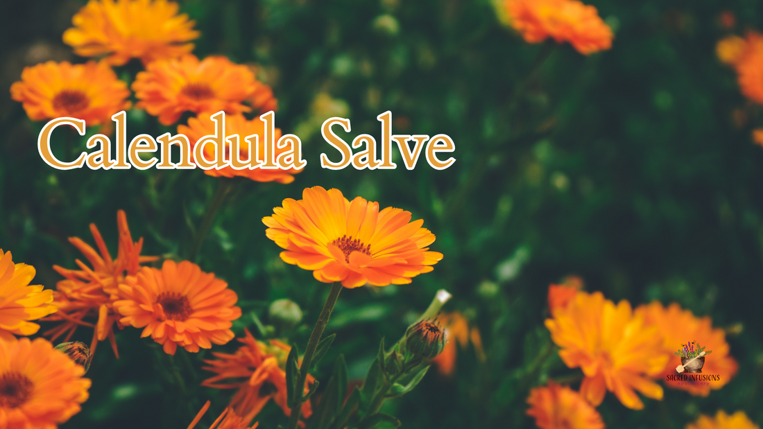 Calendula Salve