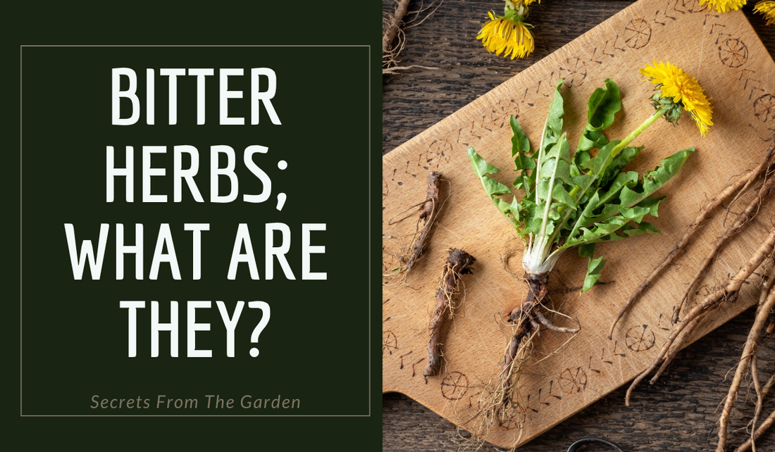 HERBAL BITTERS; WHAT ARE THEY?
