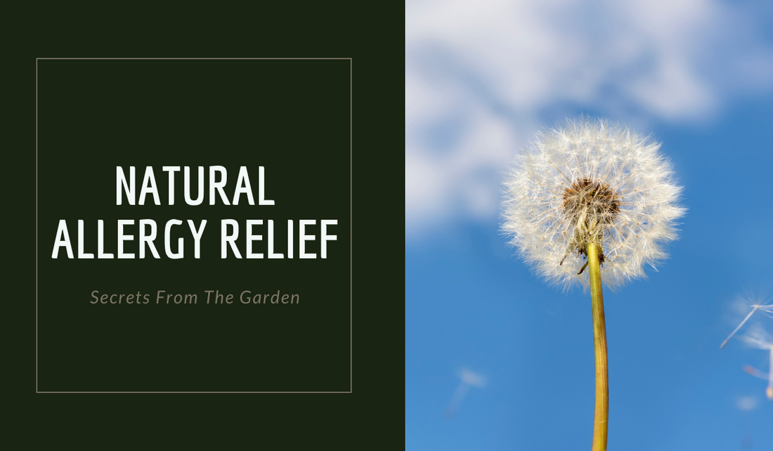 Natural Allergy Relief