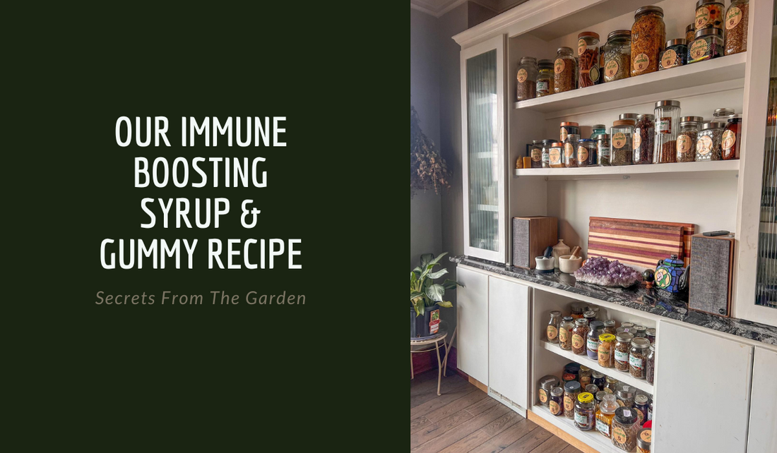 Our Immune Boosting Syrup, plus Gummies!