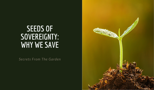 Seeds of Sovereignty: Why We Save