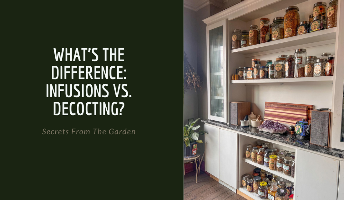 What's The Difference: Infusions VS. Decocting?