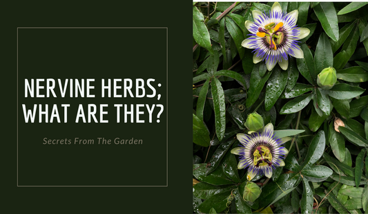 Herbal Nervines; What are they?