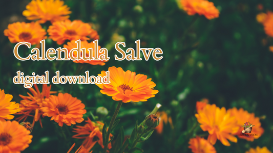 Calendula Salve Digital Download